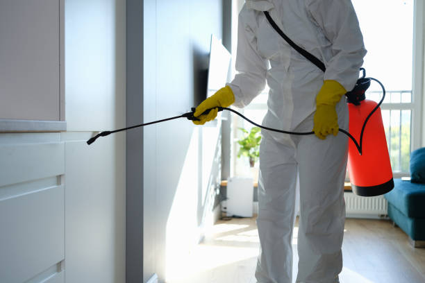 Best Attic Mold Removal  in Williamsport, OH