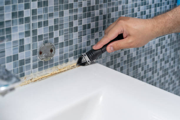 Best Emergency Mold Removal  in Williamsport, OH